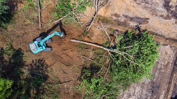 Land Clearing